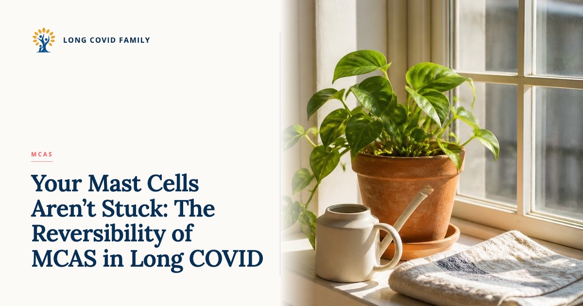 MCAS reversibility in Long COVID — editorial sunroom still life of a single healthy green plant on a window ledge in soft morning light, glass panes catching gold.