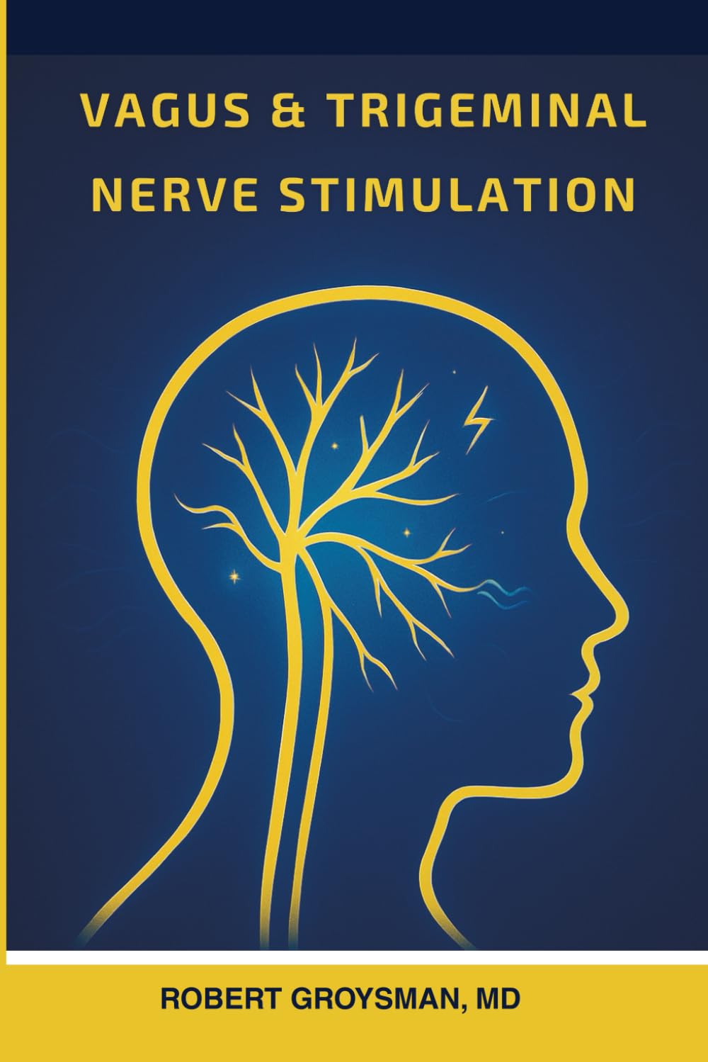 Book cover: Vagus and Trigeminal Nerve Stimulation Handbook by Robert Groysman, MD