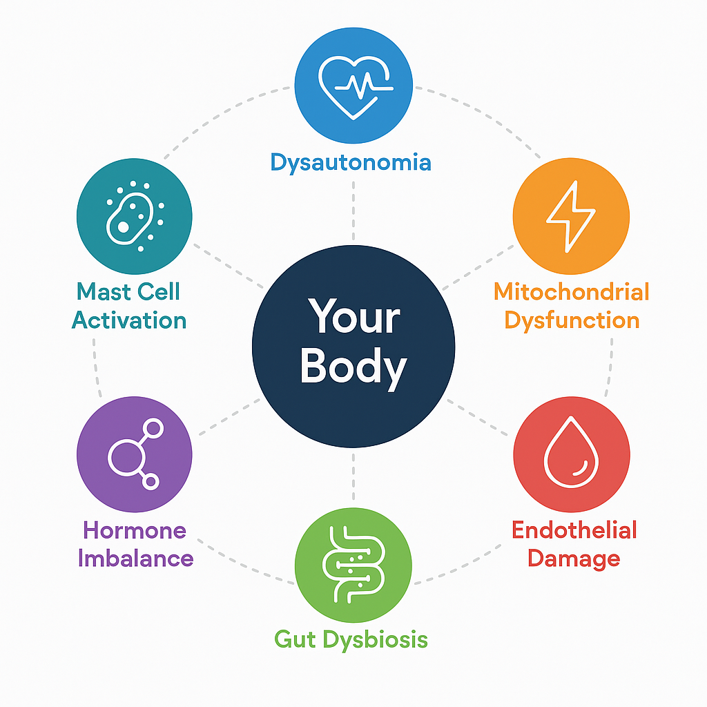 Diagram of the six root mechanisms of Long COVID around one body: dysautonomia, mitochondrial dysfunction, endothelial damage, gut dysbiosis, hormone imbalance, and mast cell activation.